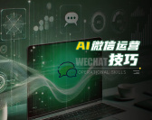 AI微信运营技巧（4集）