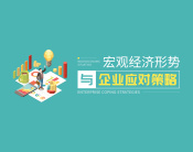 宏观经济形势及企业应对策略（2集）
