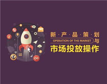 新产品策划与市场投放操作（3集）