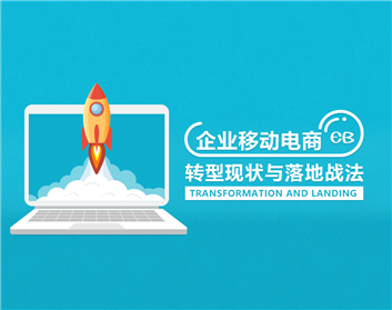 企业移动电商转型现状与落地战法（6集）
