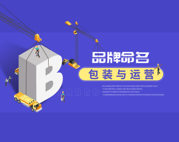 品牌命名、包装与运营（16集）