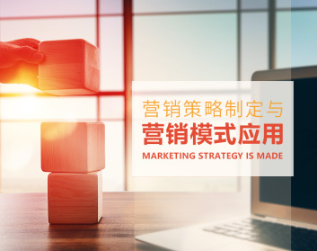 营销策略制定与营销模式应用（3集）