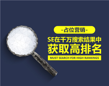 占位营销-在千万搜索结果中获取高排名（2集）