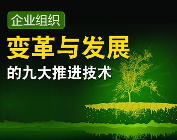 企业组织变革与发展的九大推进技术（3集）