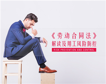 《劳动合同法》解读及用工风险防控（6集）