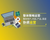 整体策略运营《整体用户、内容、产品、渠道协调运营》（2集）