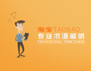 淘宝专业术语解析（4集）