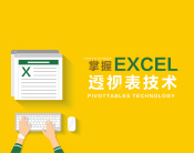 掌握Excel透视表技术（4集）