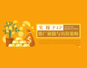 实操P4P外贸直通车推广秘籍与出价策略（3集）